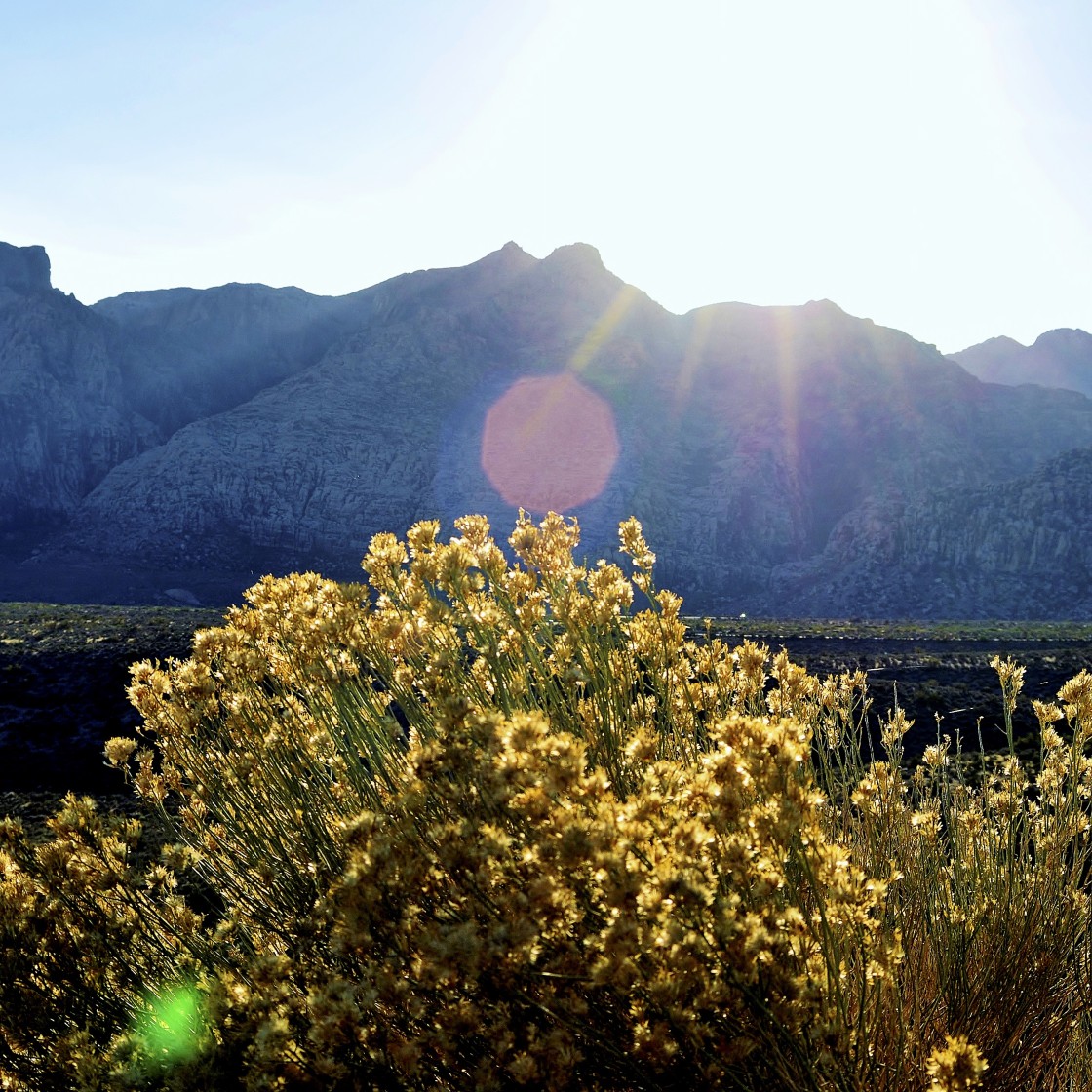 "Red Rock Canyon National Conservation Area, Las Vegas, Nevada. 2" stock image