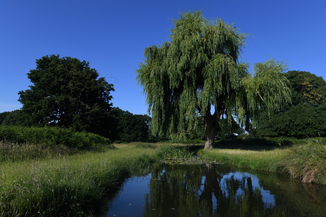 "Sunshine in the park." stock image