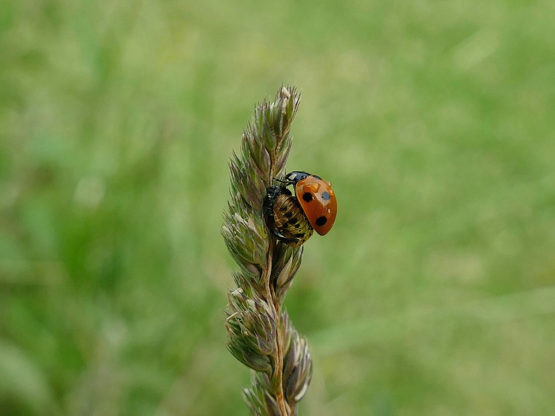 "New life" stock image