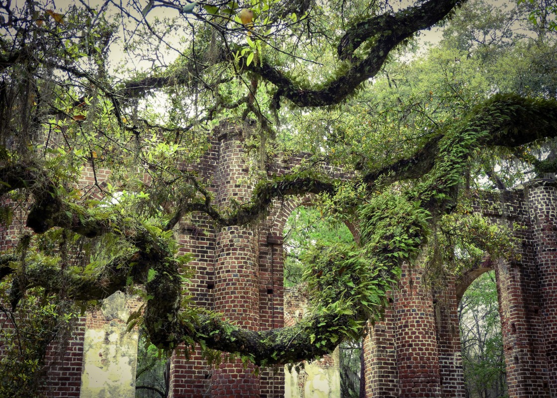 "Arches of Old Sheldon" stock image