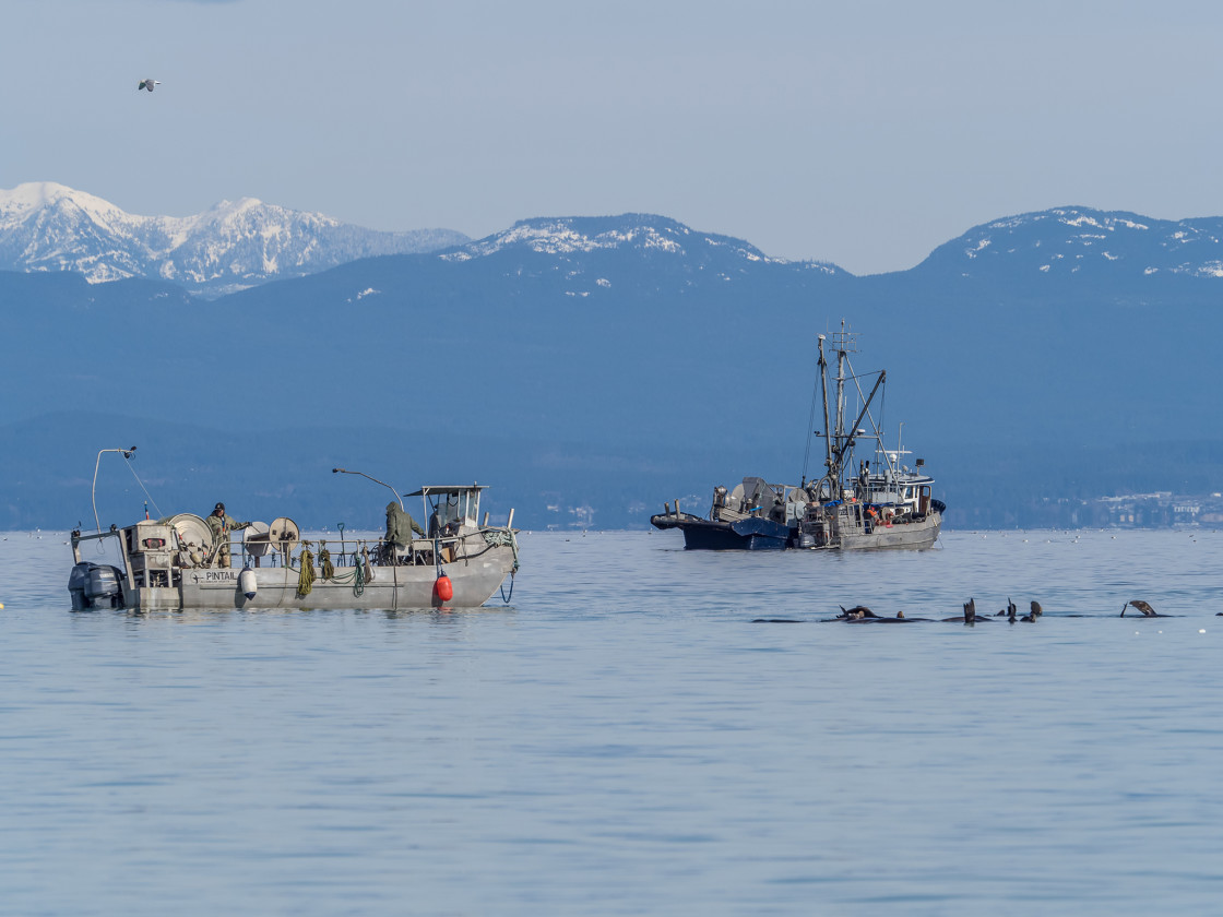 "Fishing Boats" stock image