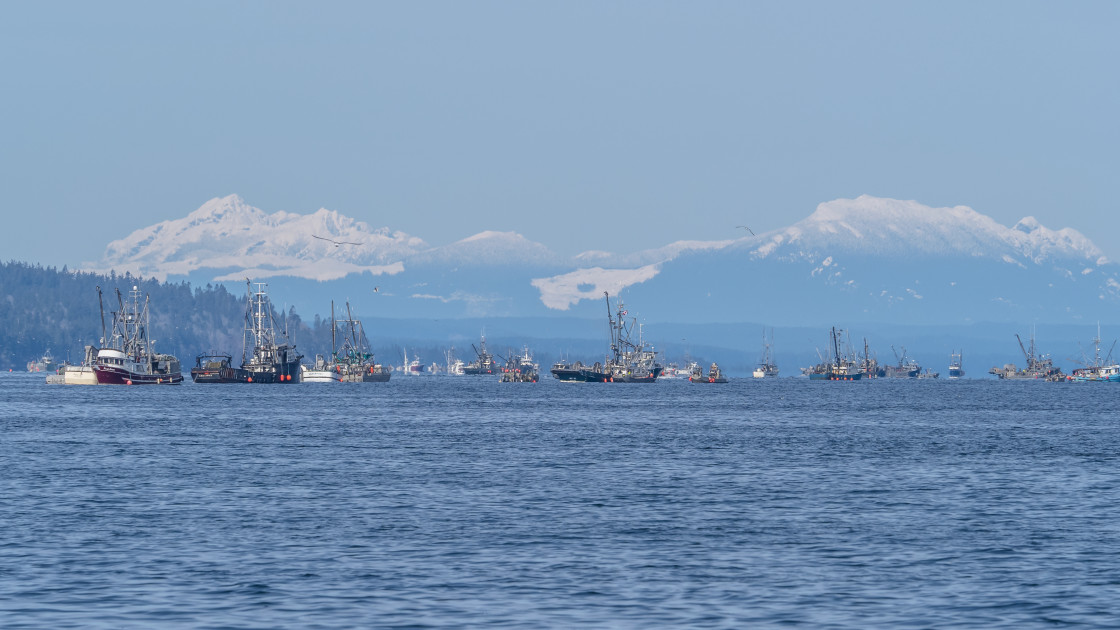 "Fishing Boats" stock image