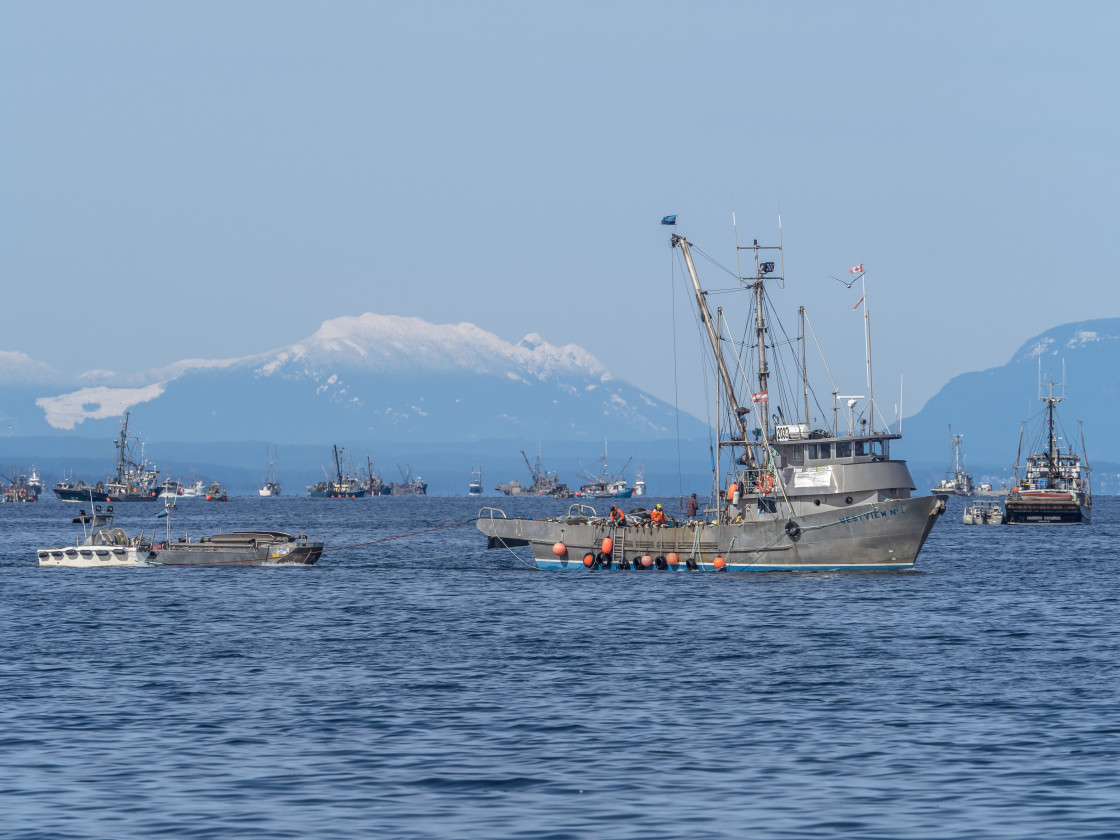 "Fishing Boats" stock image