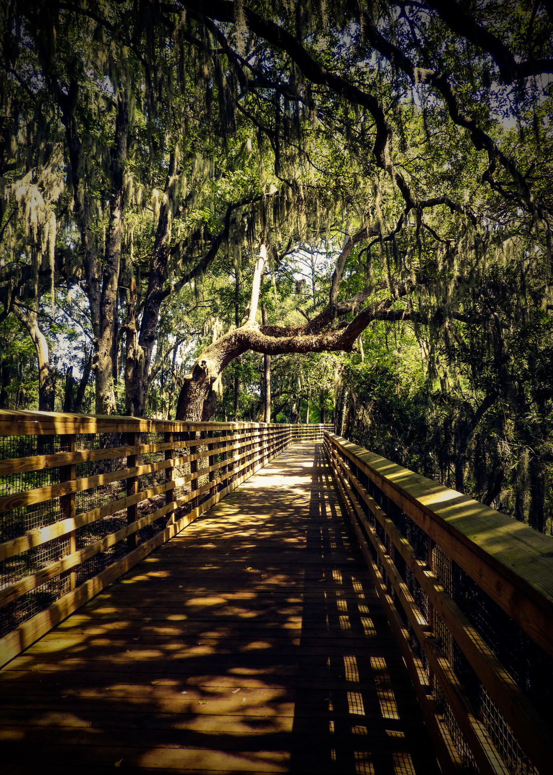 "Crystal Lake Park" stock image