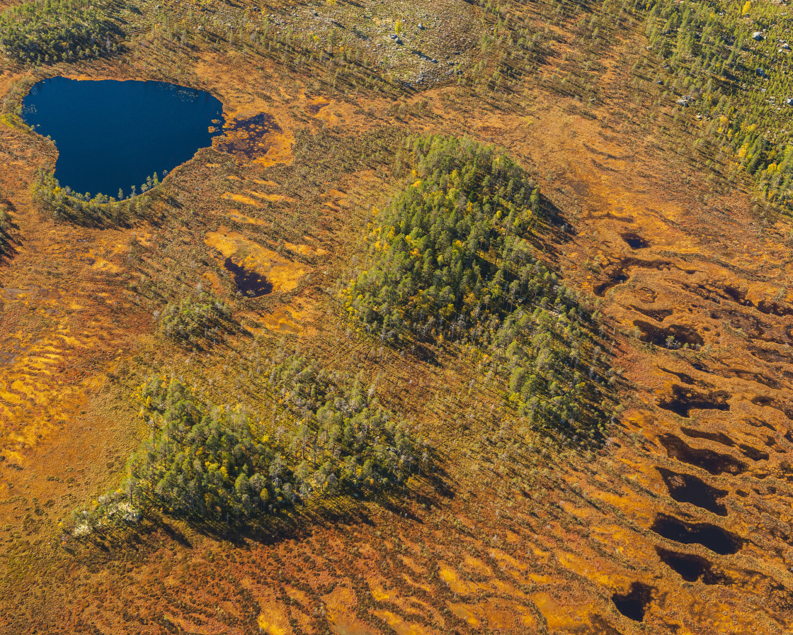 "Bog and small lake from above" stock image