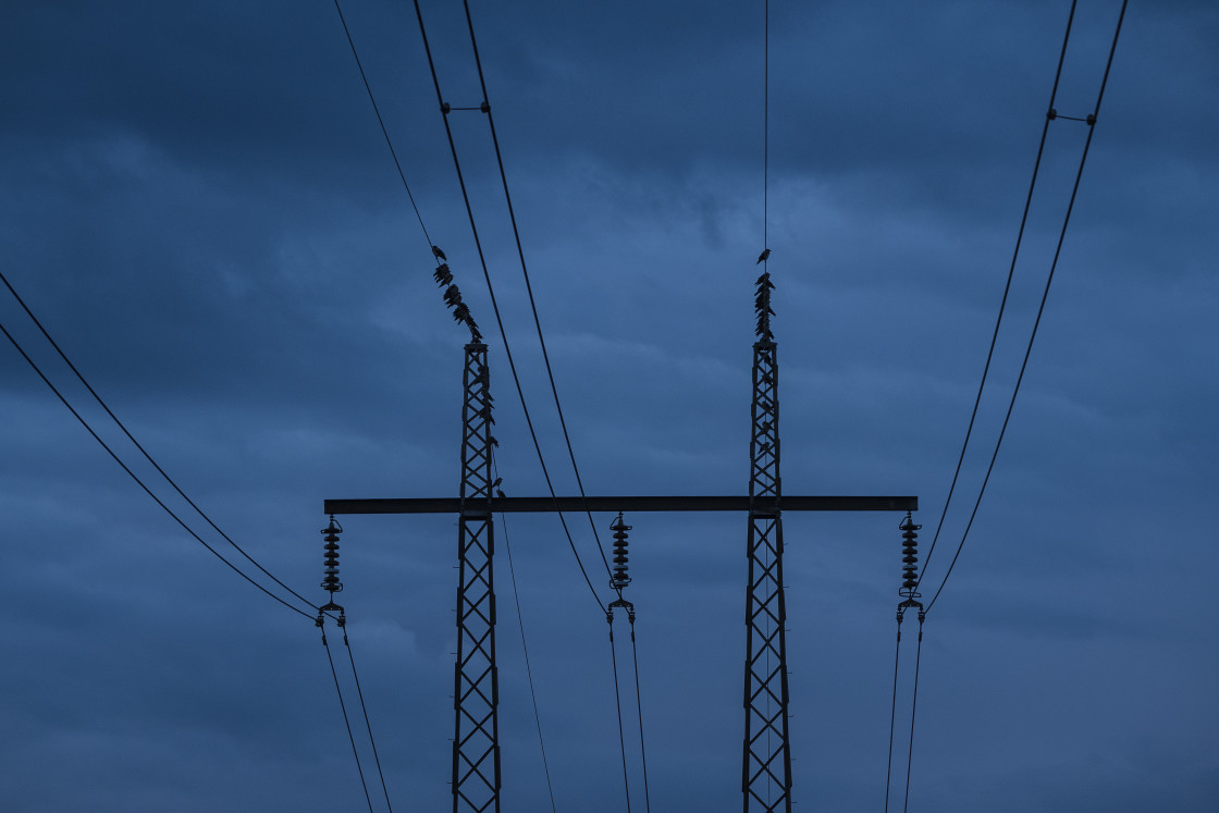 "Birds sitting on power line in dusk" stock image