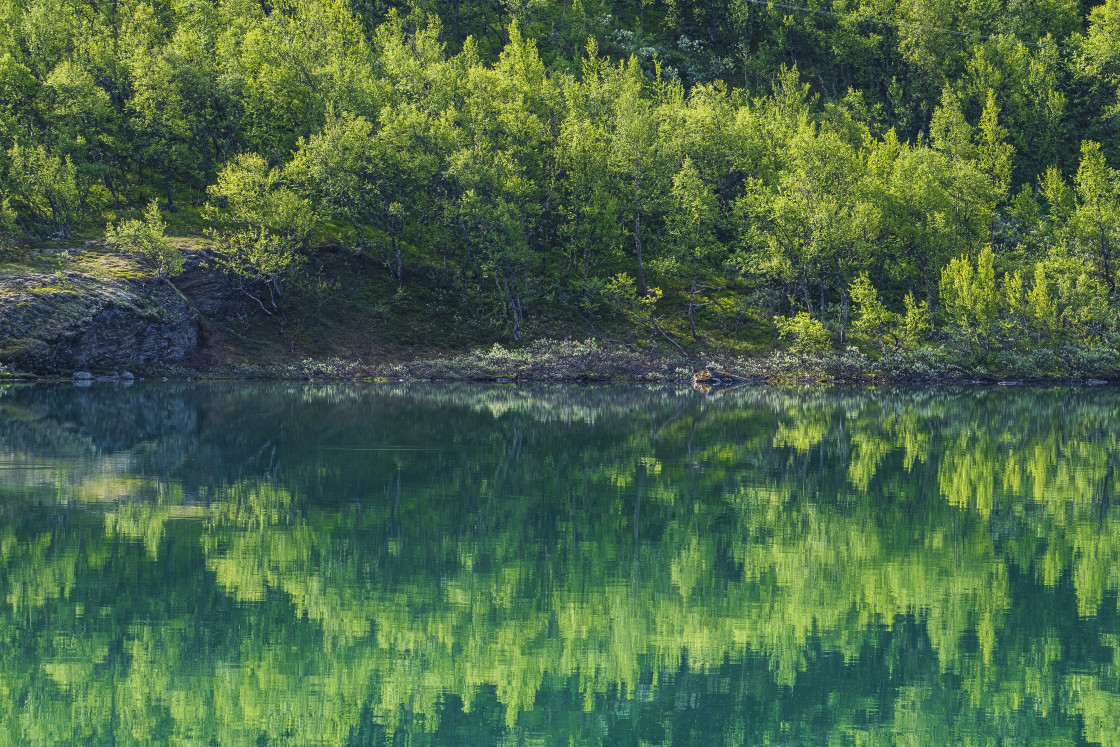 "Reflection of forest in lake" stock image