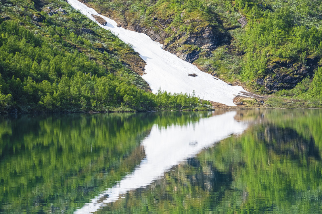 "Reflection of forest in lake" stock image