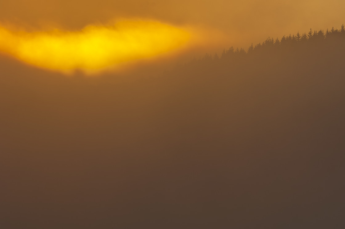 "Sun rising above forest, Sweden" stock image