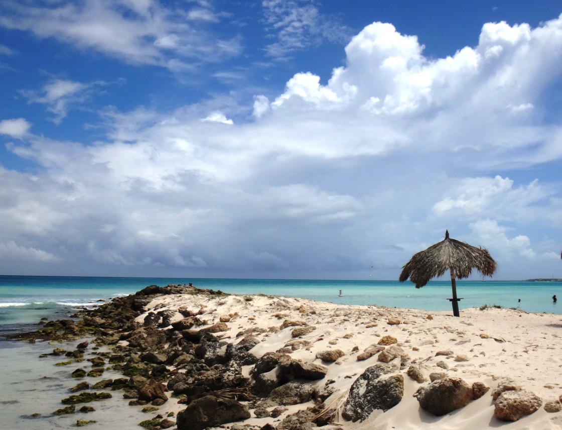 "Lonely Palapa" stock image