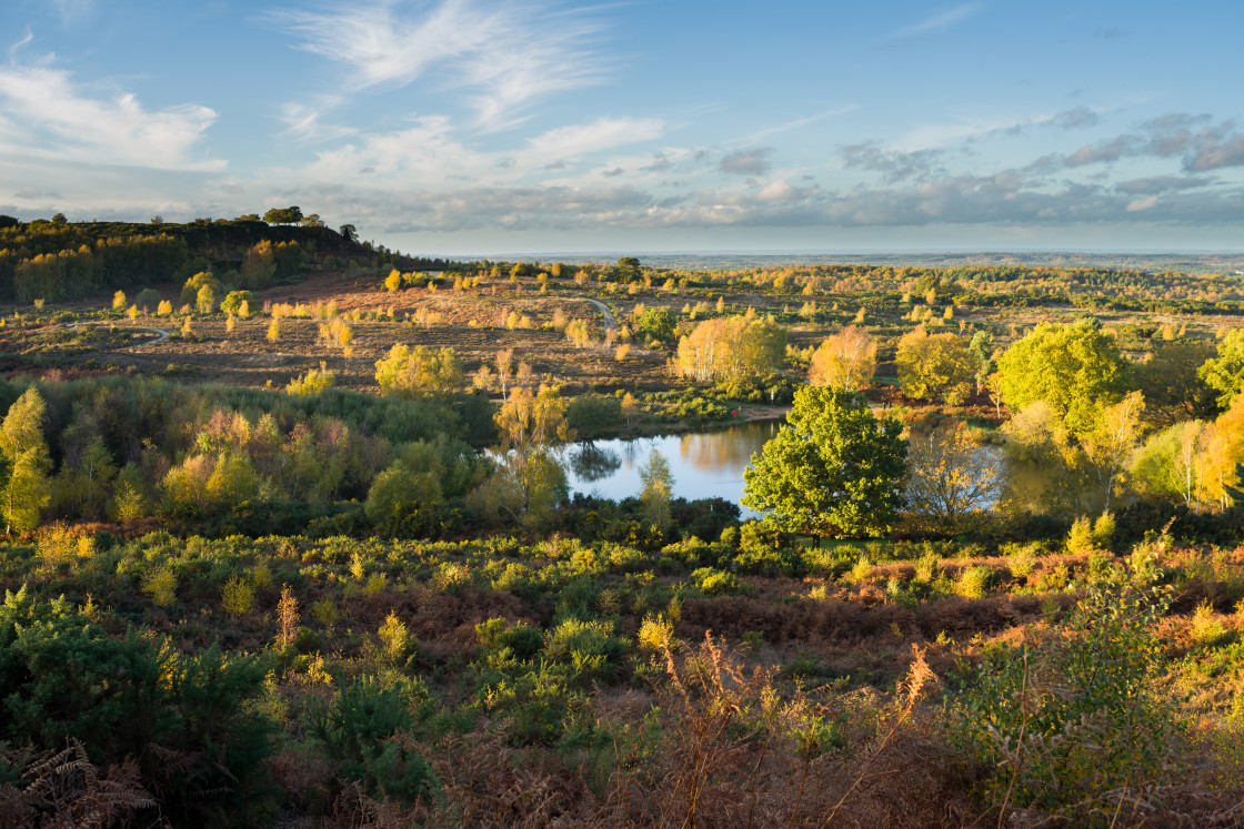 "Autumn Sun Glancing Heathland" by Gordon England - $12.57 "Autumn Sun Glancing Heathland" stock image