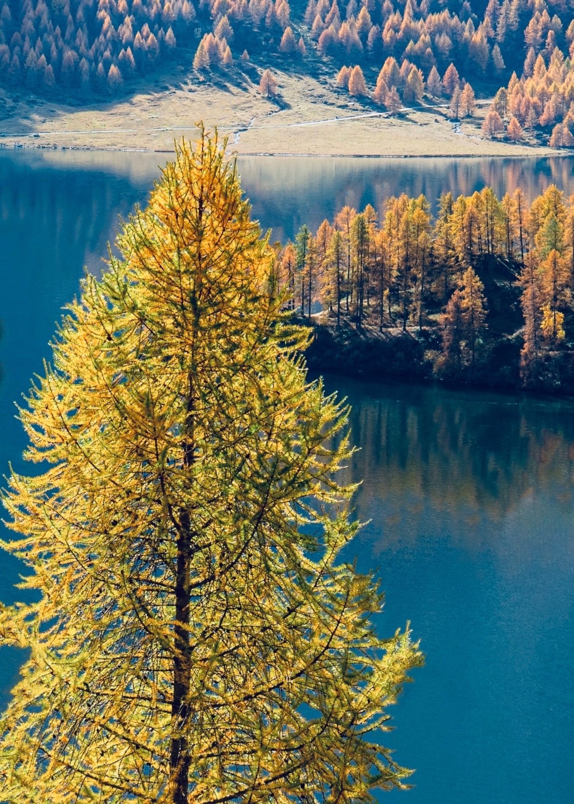 "Autumn paradise in Swiss Alps" stock image