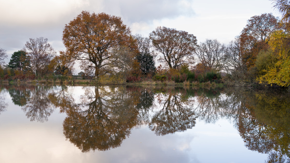"Autumn Reflection" by Gordon England - $12.70 "Autumn Reflection" stock image