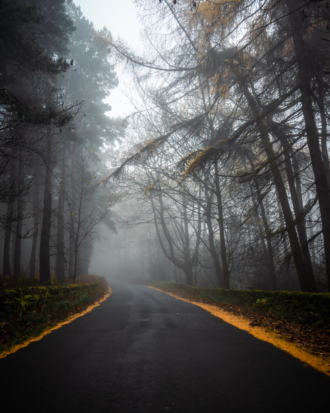 "Nidderdale Lane in the Fog" stock image