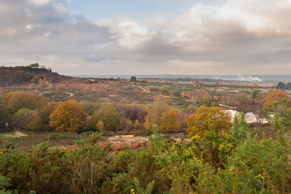 "Autumnal Caesar's Camp Landscape" by Gordon England - $12.71 "Autumnal Caesar's Camp Landscape" stock image
