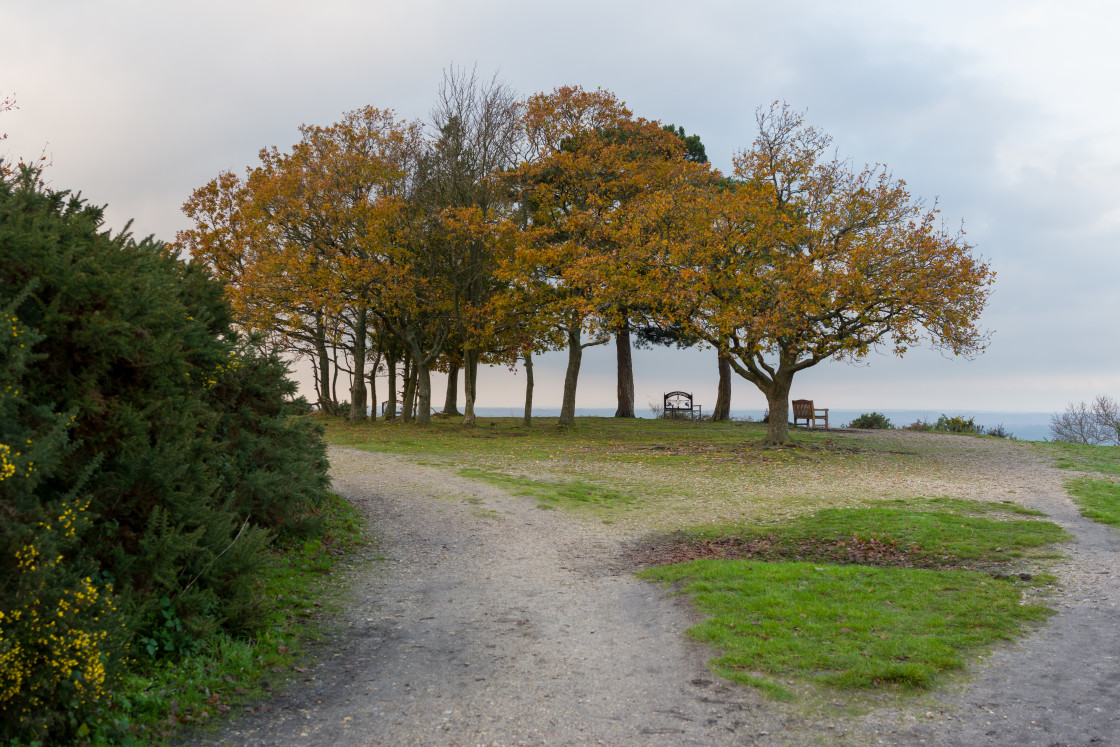 "Flagstaff Hill" by Gordon England - $12.55 "Flagstaff Hill" stock image