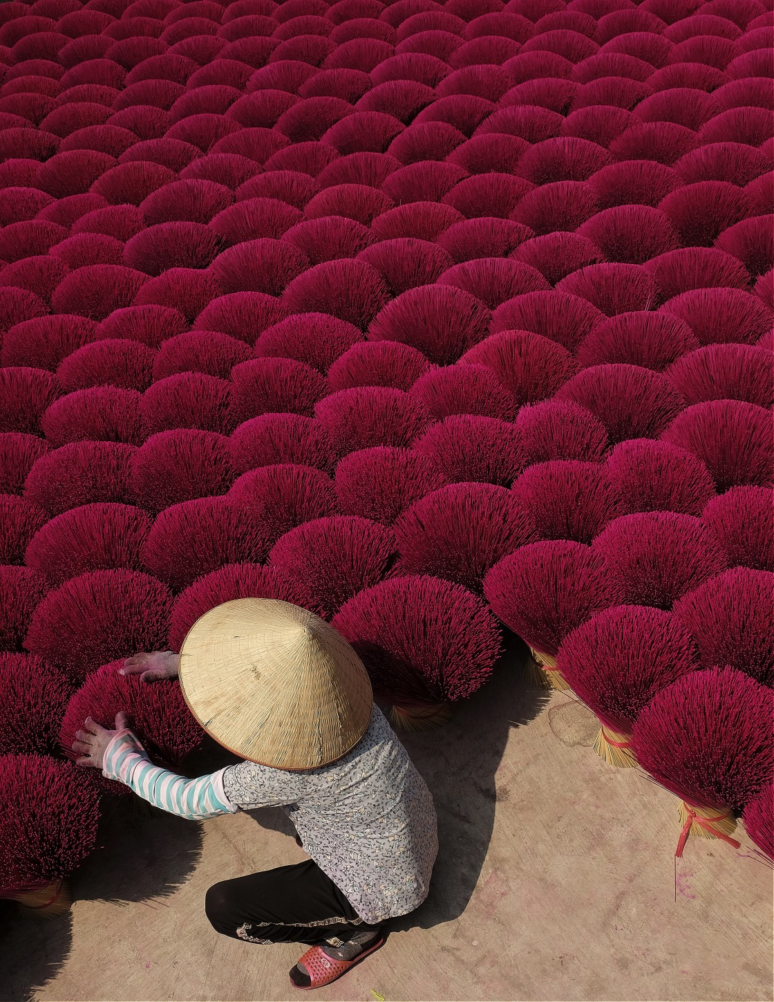 "Drying Incense Sticks" stock image