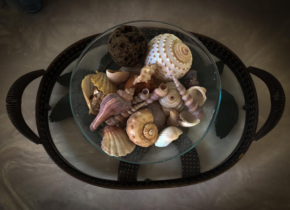 "Tray of Shells" stock image