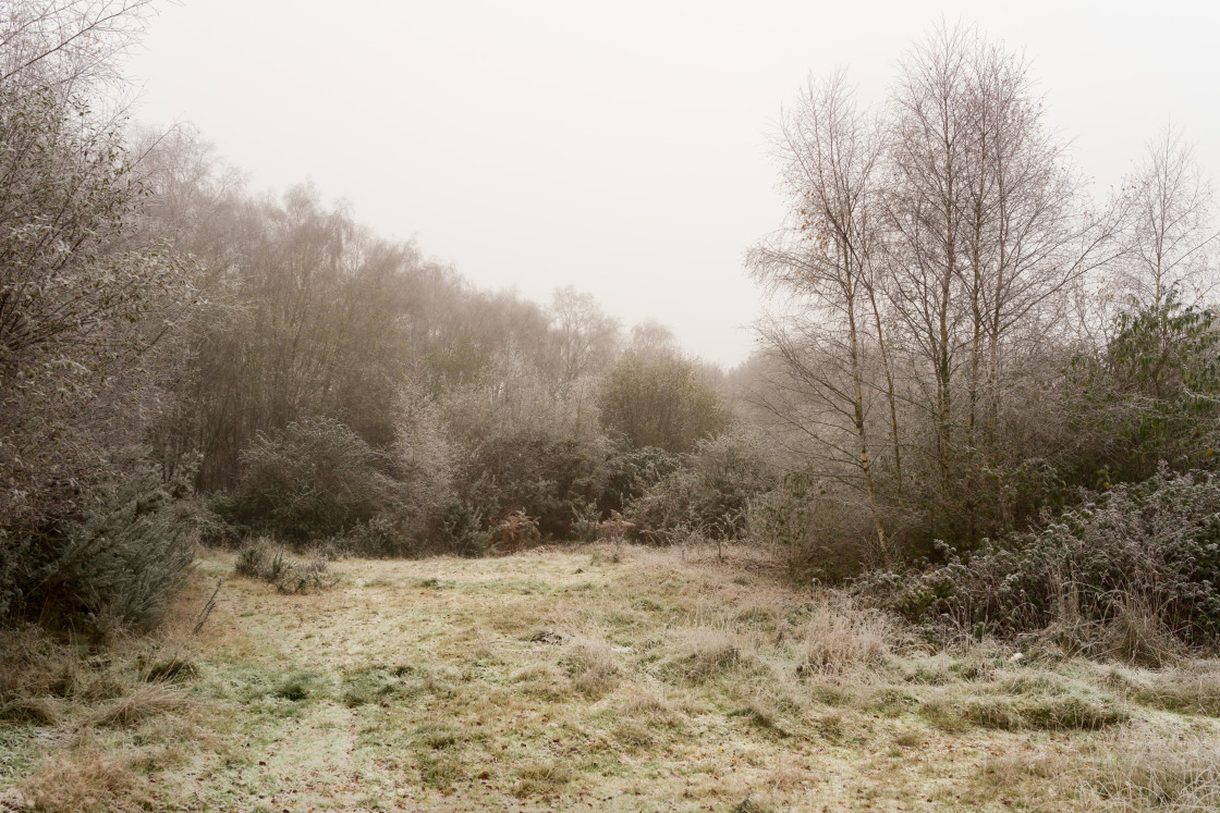 "Winter Starts with a Chill" by Gordon England - $12.65 "Winter Starts with a Chill" stock image