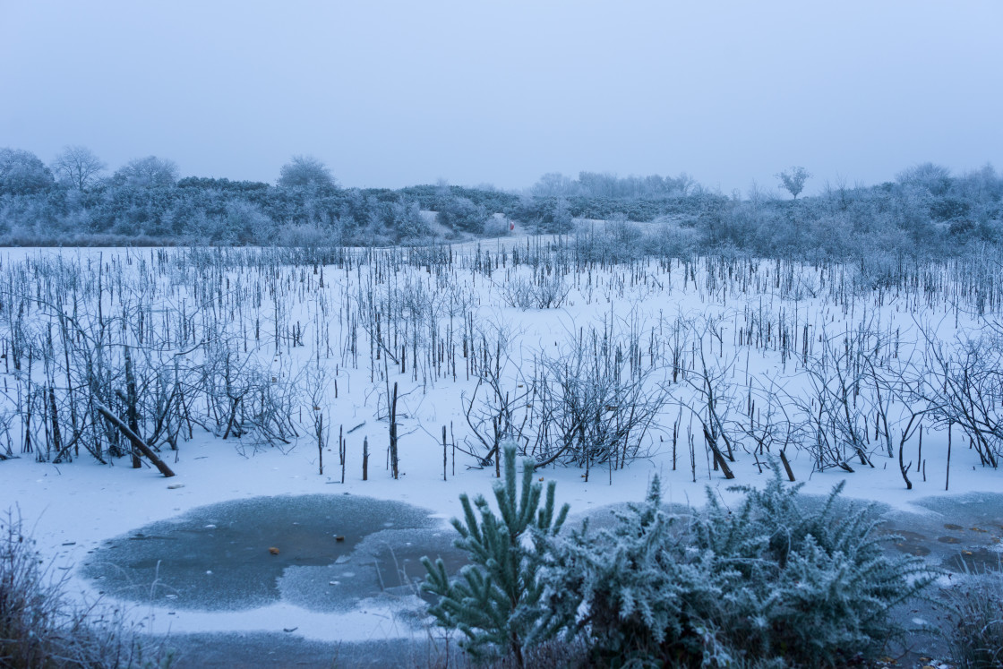 "Winter Twilight at Gravel Pit" stock image