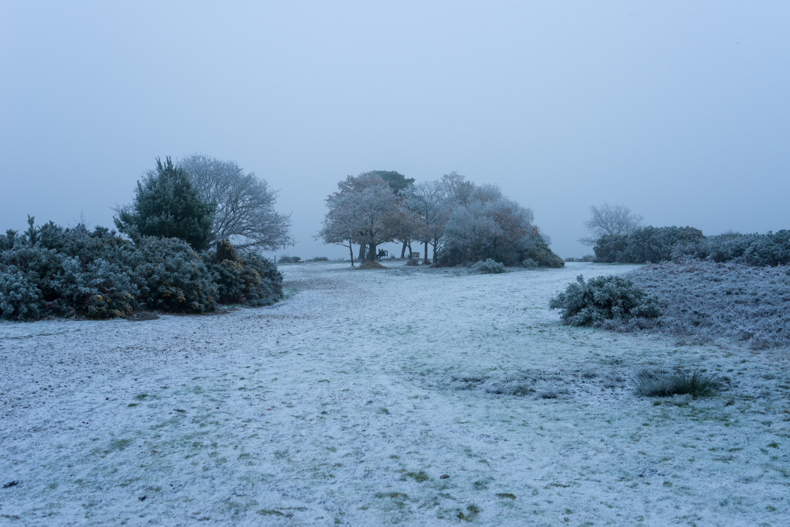 "Winter Landscape" stock image