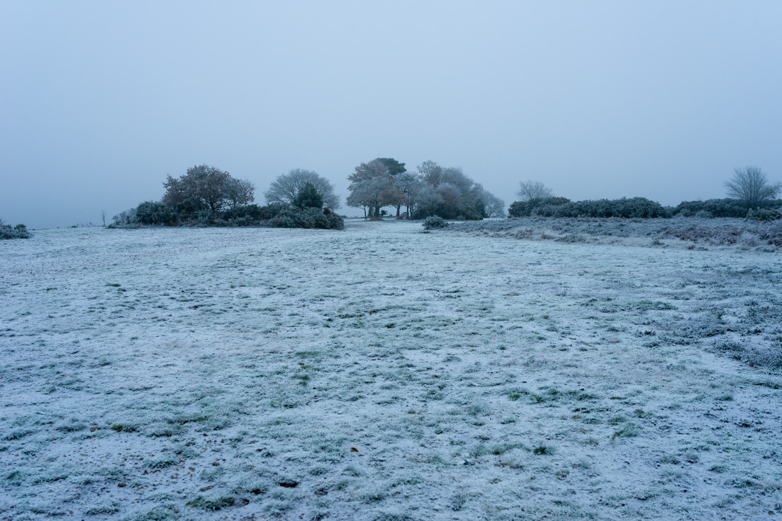 "Winter Landscape" stock image