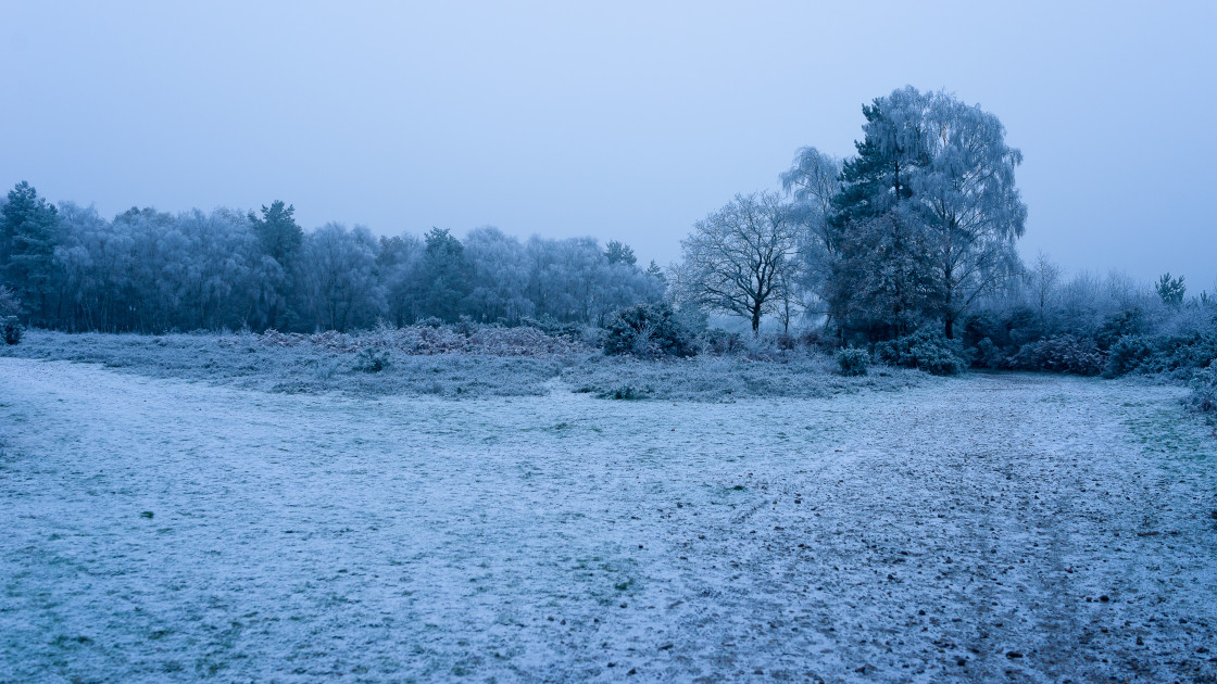 "Winter Twilight Scene" stock image