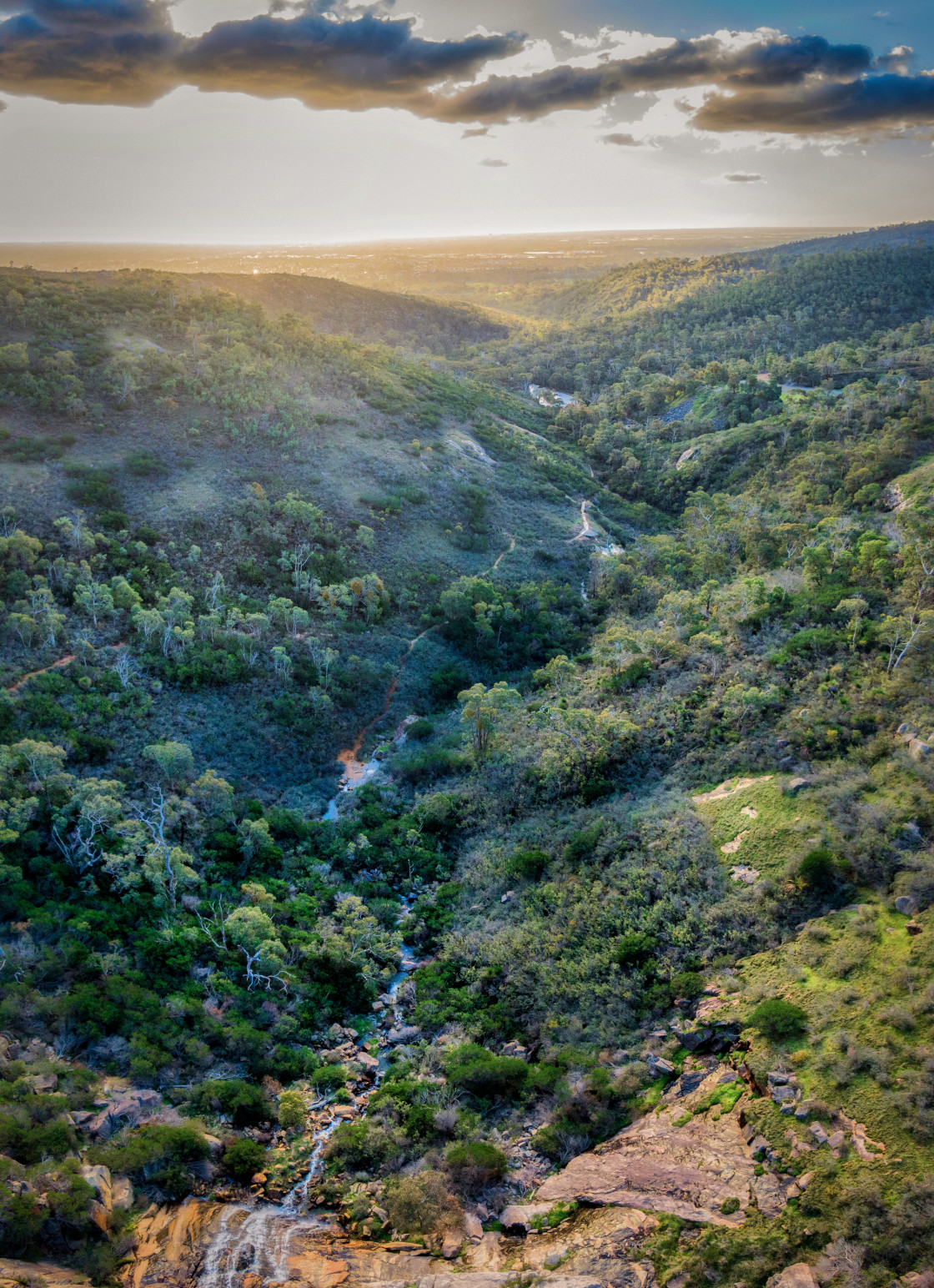 "Sunlit Bushland Valley" stock image