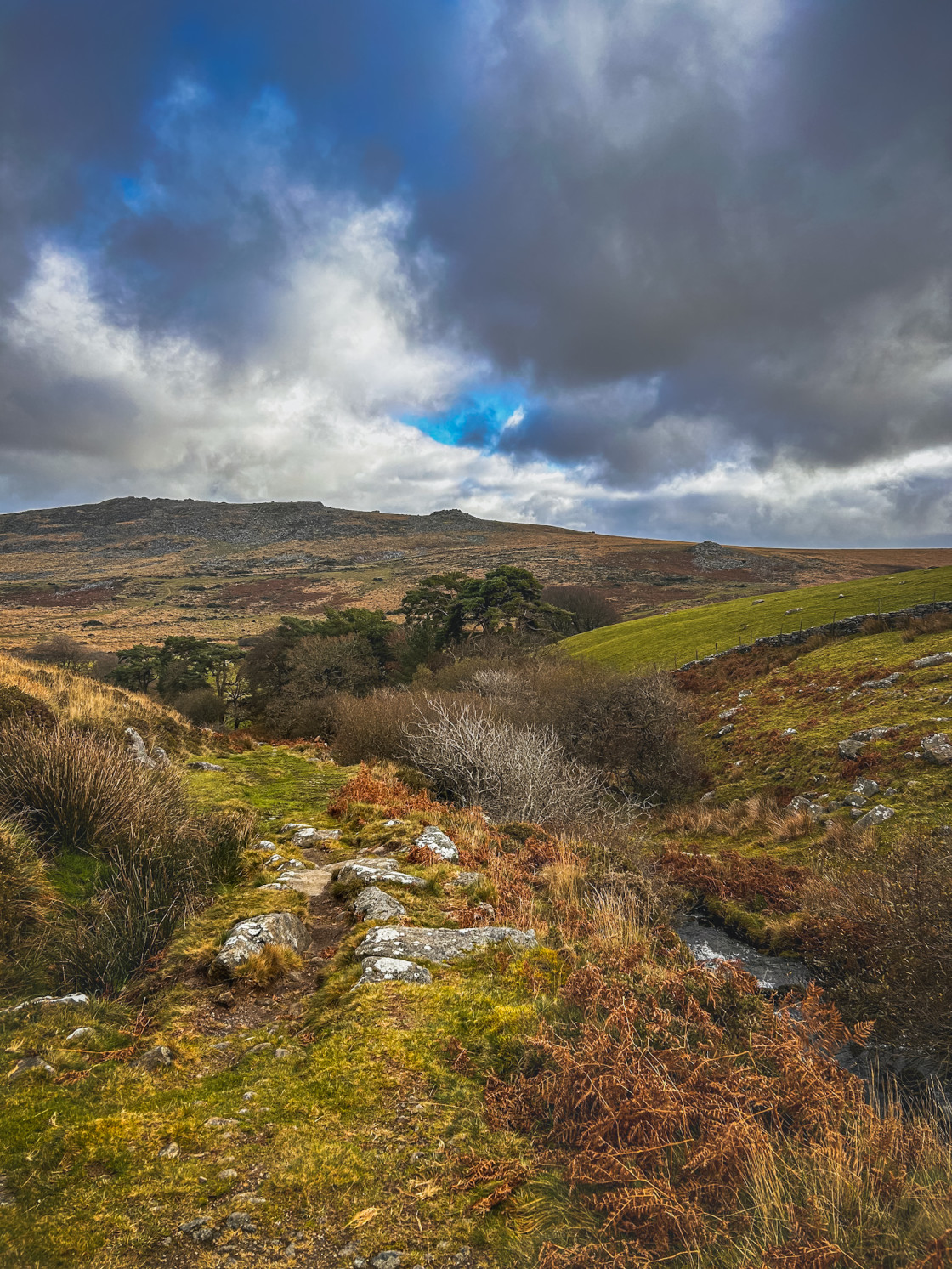 "A Rocky Dartmoor Path" stock image