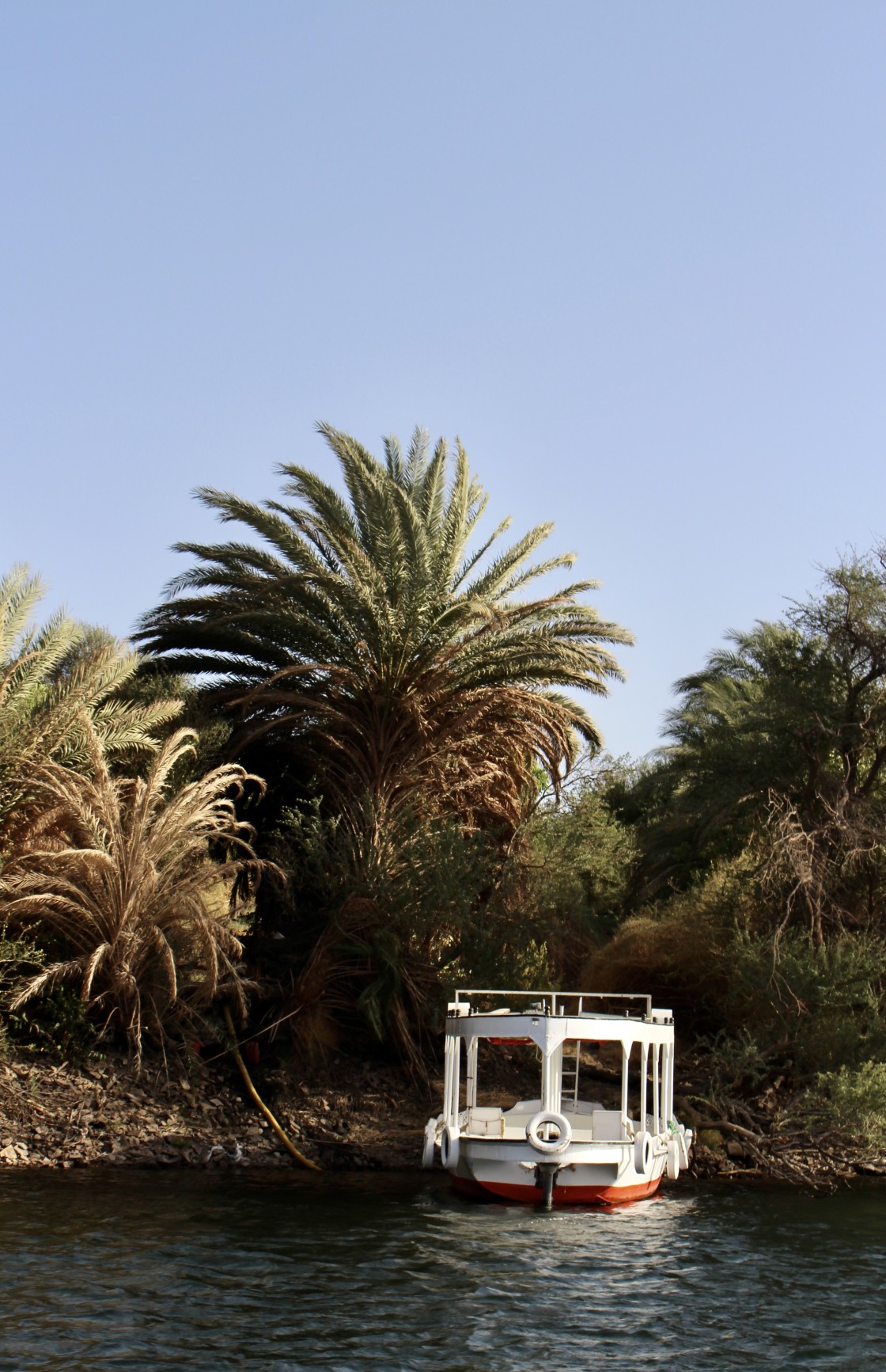 "Alone on the Nile" stock image