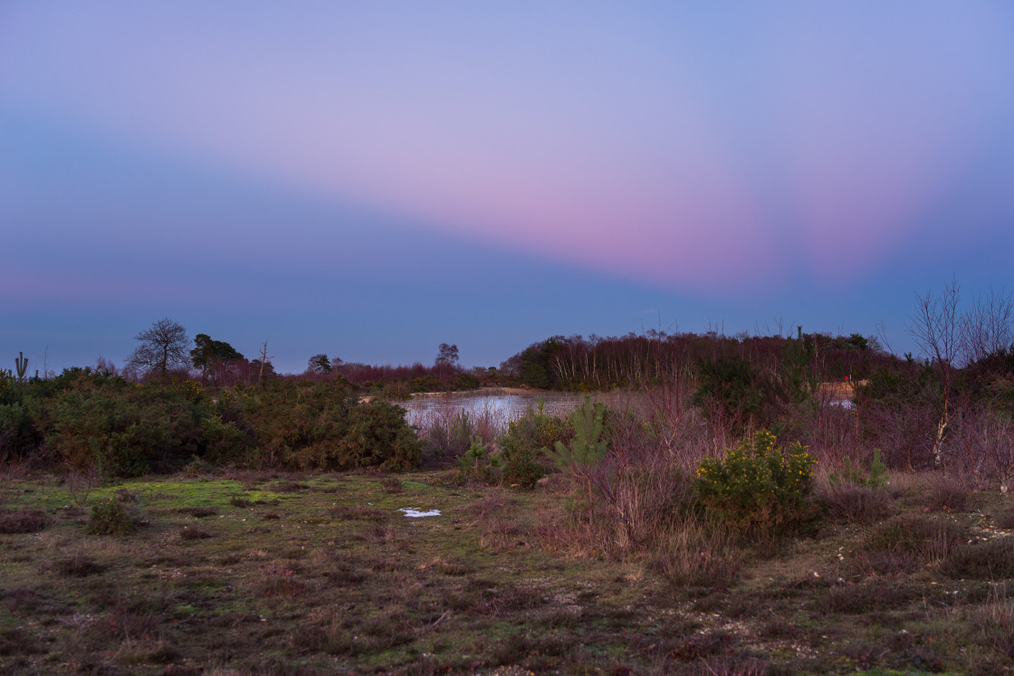 "Heathland at Dusk" stock image