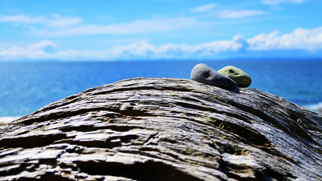 "small pebble, Sunshine Coast, BC" stock image