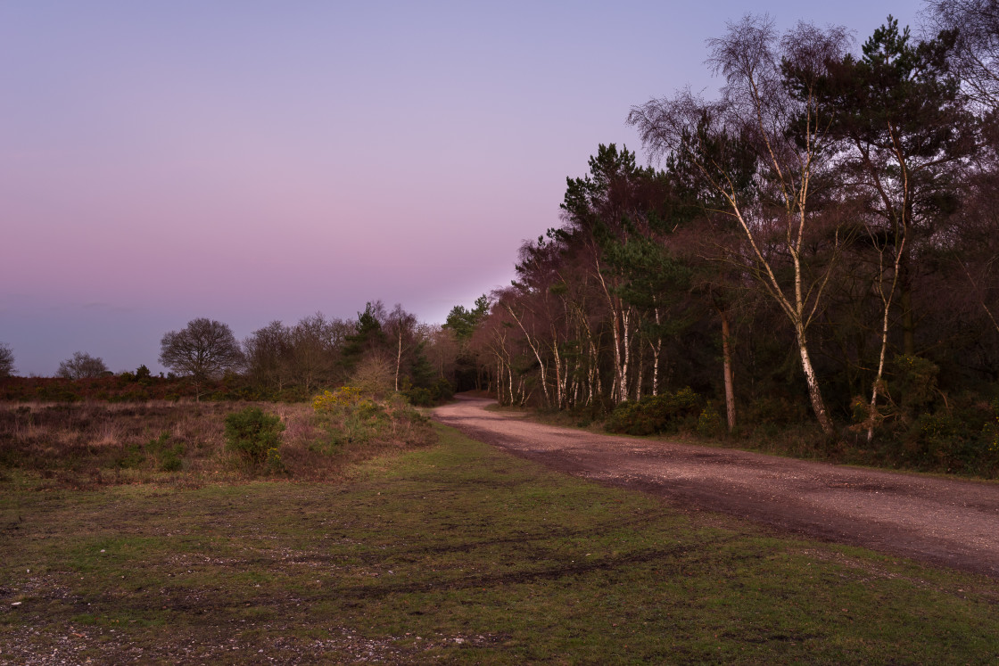 "Dusk on Heathland" stock image