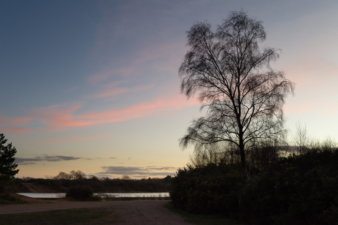 "Heathland at Dusk" stock image