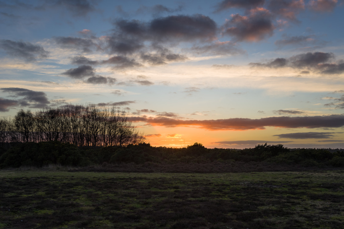 "Heathland Sunset" stock image