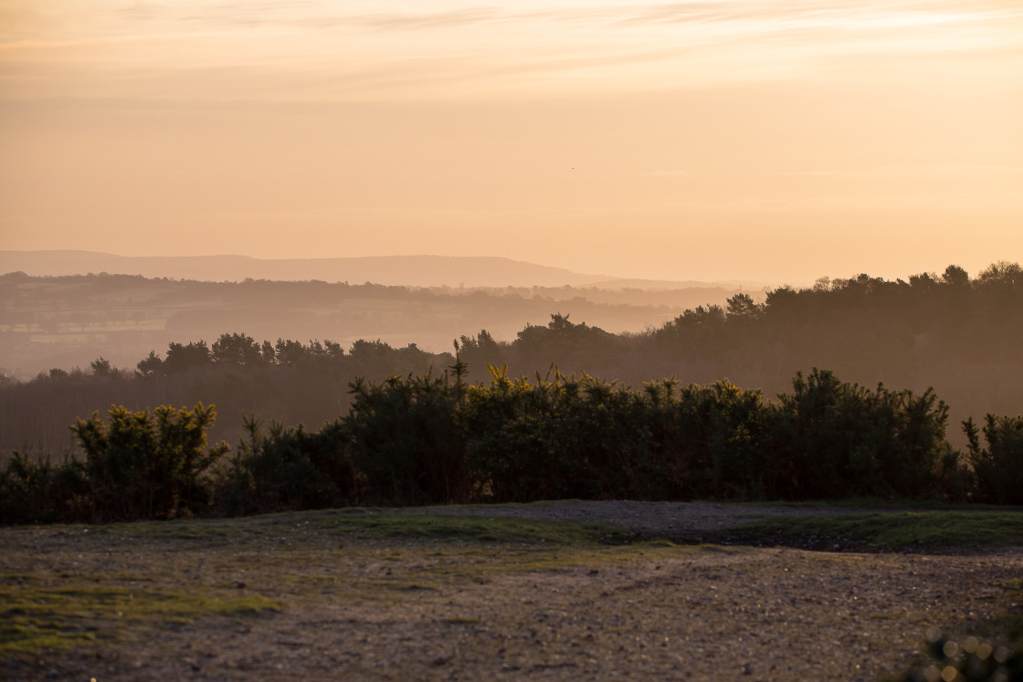 "Morning Mist" stock image