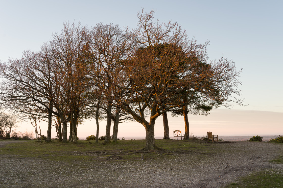 "Caesar's Camp Golden Hour" stock image