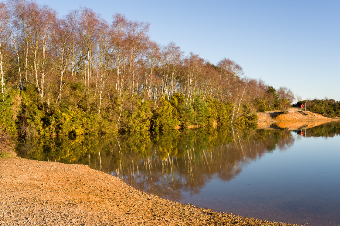 "Sunny Lakeside View" stock image