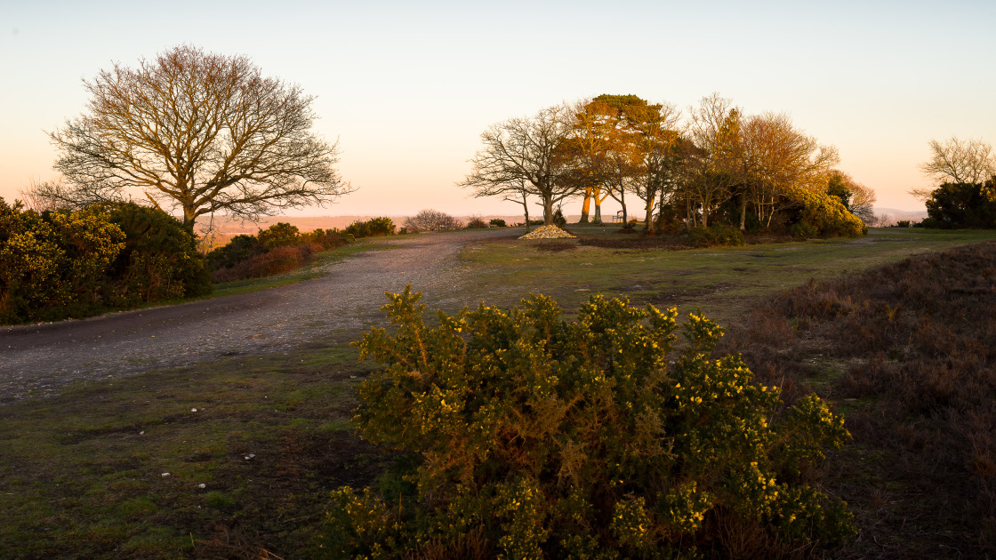 "Caesar's Camp Golden Hour" stock image