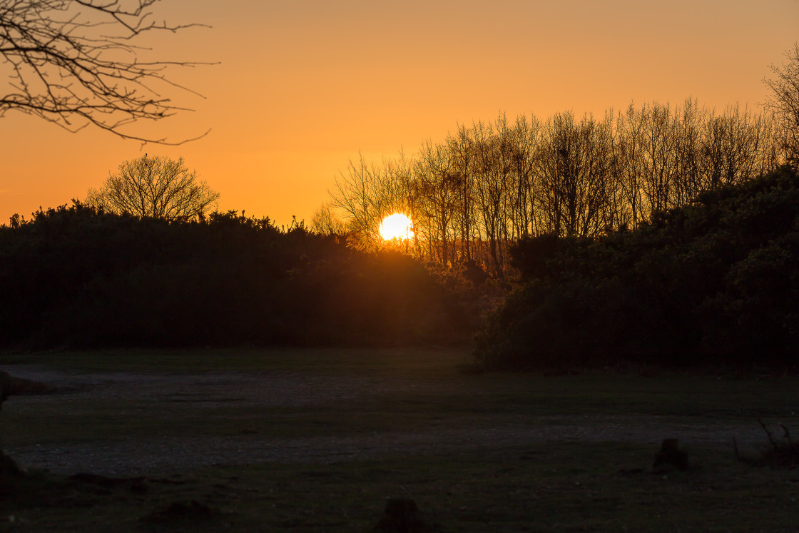 "Heathland Sunset" stock image