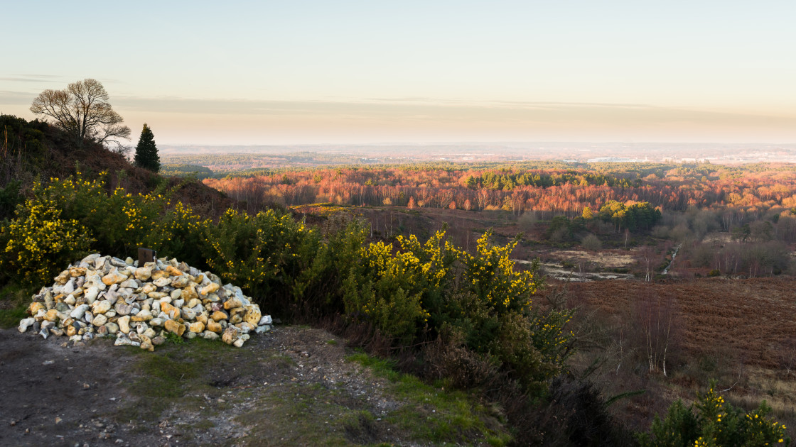 "Golden Hour Landscape" stock image