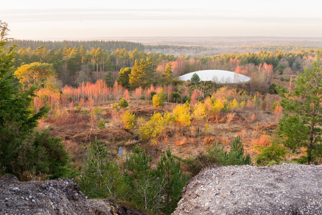 "Golden Hour Landscape" stock image