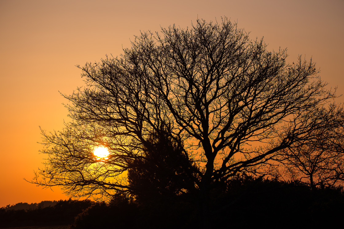 "Sunset" stock image