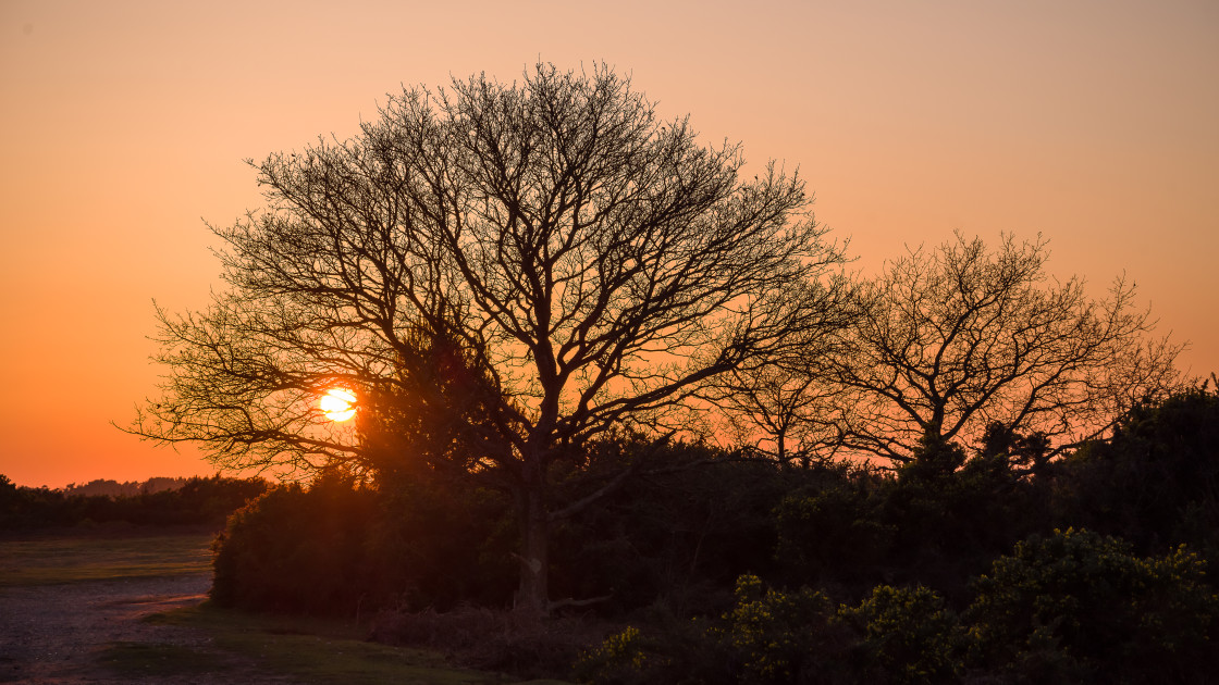 "Sunset" stock image