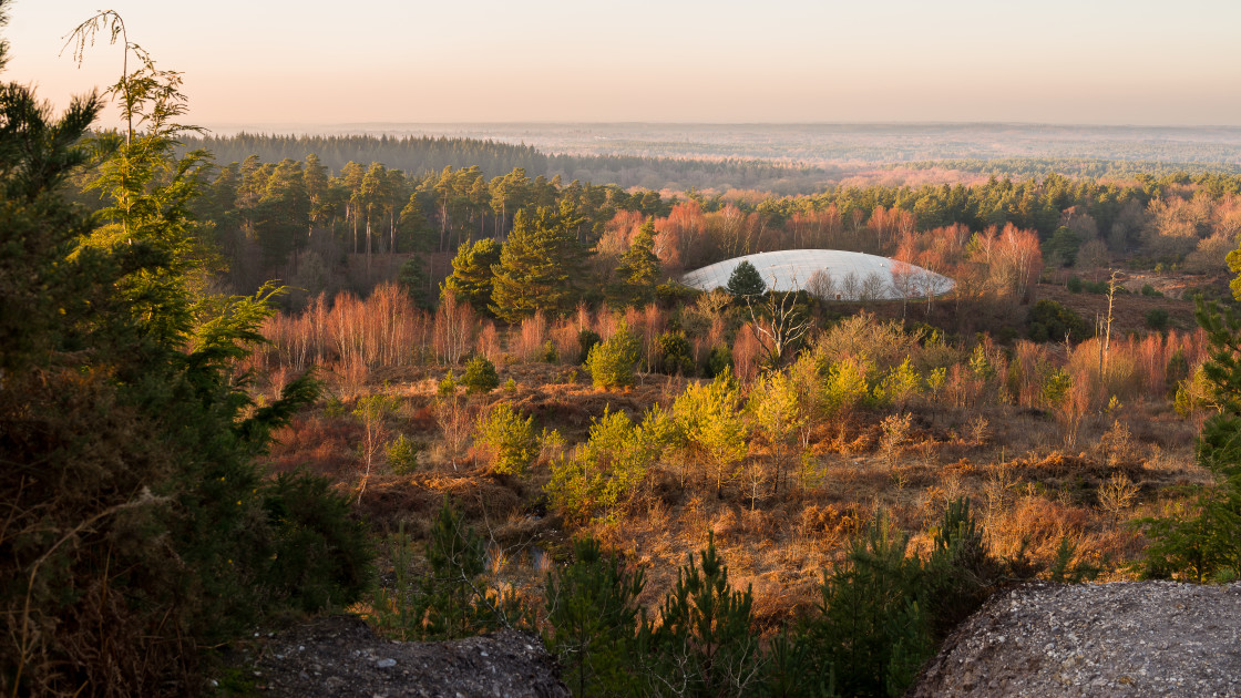 "UFO Golden Hour" stock image