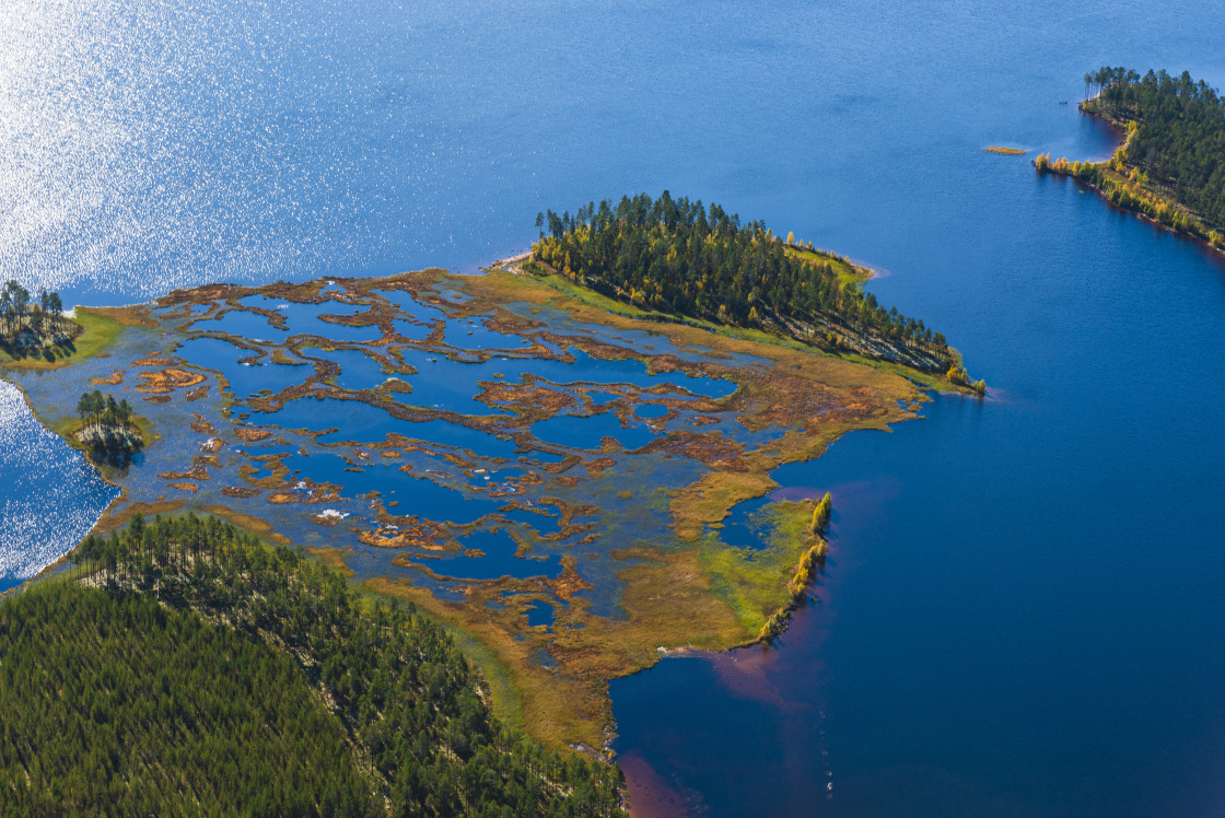 "Bog, lakes and trees from above" stock image