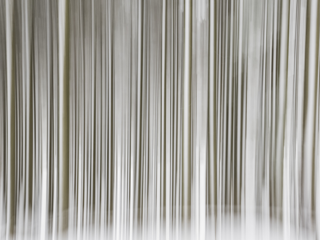 "Wintery Forest of Abstract Patterns" stock image