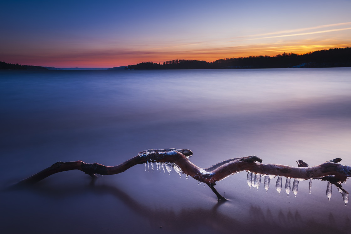 "Icicles on tree branch lying on beach at sunrise" stock image