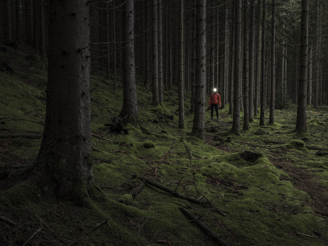 "Man with headlamp standing in dark forest" stock image