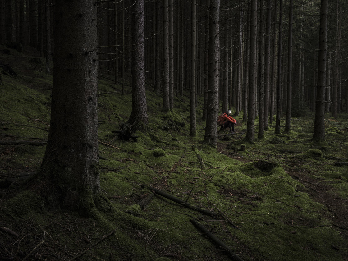 "Man with headlamp sitting in dark forest" stock image